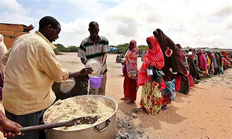 Uma Em Cada Cinco Pessoas Passou Fome Em Frica Em O Pa S A