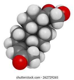 Deoxycorticosterone Doc Mineralocorticoid Hormone Molecule Precursor ...