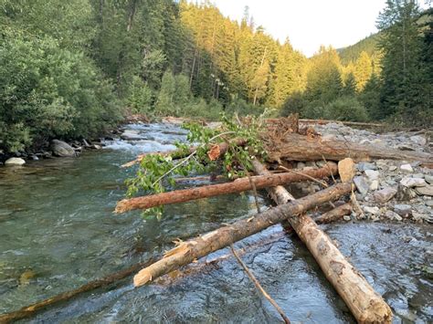 Floodplain Restoration Well Underway In Vermilion River Green