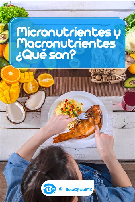 Micronutrientes Y Macronutrientes Qu Son