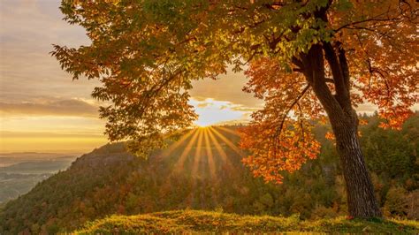 Best Fall Foliage in the Northeast