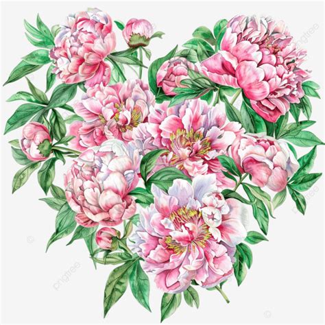 Heart Shaped Pink Peonies And Green Leaves Watercolor Heart Shaped