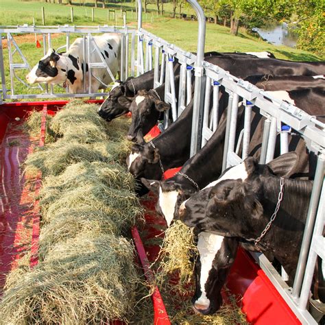 No Waste Hay Feeders For Cattle Farmco