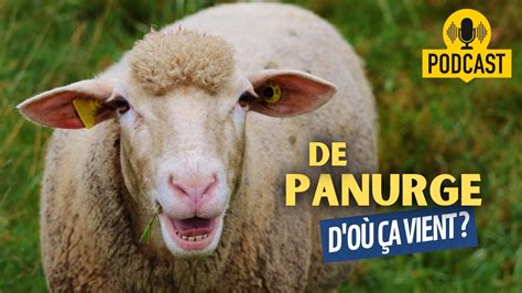 D O Vient L Expression Mouton De Panurge Youtube