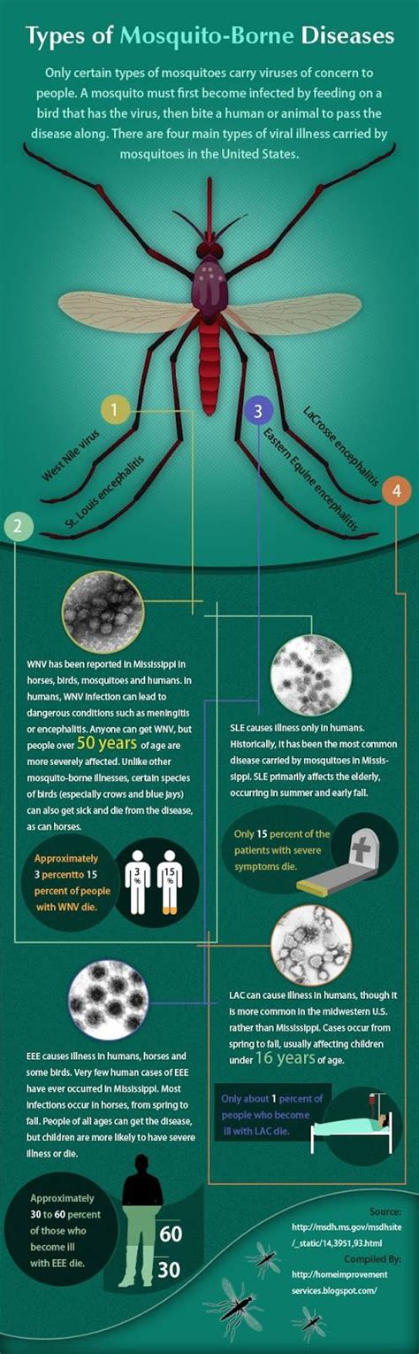 Types Of Mosquito Borne Diseases Infographic Charts And Graphs