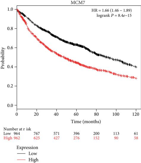 The Survival Analysis Of Four Hub Genes By The Km Plotter A Ccne2