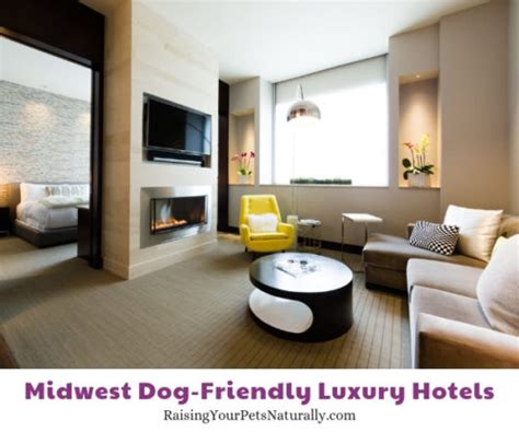 Pet-Friendly Luxury Hotels in the Midwest You Don't Want to Miss ...