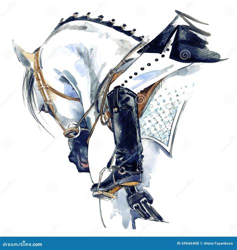 Dressage Sport Horse With Rider Watercolor Horse Illustration Stock