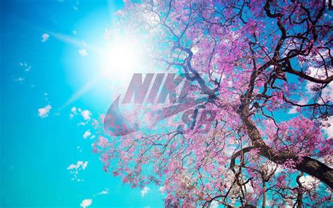 Nike SB Logo Wallpapers - Wallpaper Cave