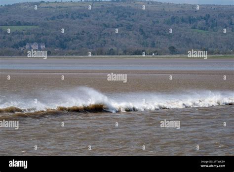 The Arnside Tidal Bore Traveling Up The Kent Estuary At Arnside