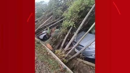 Temporal derruba árvores sobre carros na Praia do Sapê em Ubatuba