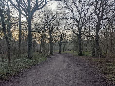 Hockley Woods Parkrun