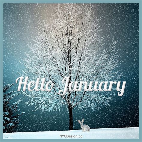 Hello January Images for Instagram and Facebook – NYCDesign.co ...