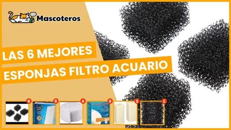 Esponjas para Filtros de Acuarios de Agua dulce Características y