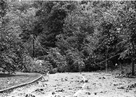 Before Sandy, there was Gloria and David: Hurricane damage on campus ...