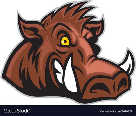 Wild Hog Head Royalty Free Vector Image Vectorstock