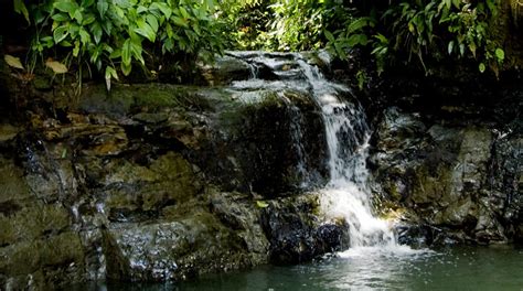 Uramba Bah A M Laga National Natural Park Parques Nacionales