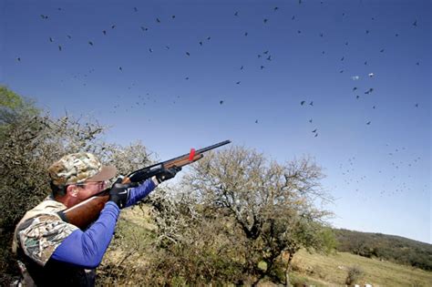 Texas Public Dove Hunting Lands