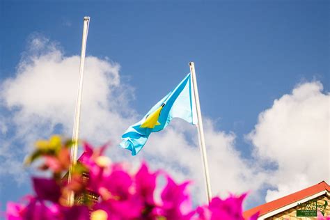 Independence Flag Raising 2023 — Galleries — Sir Arthur Lewis Community