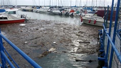 Affonda Barca A Vela Arrivano I Pompieri Foto