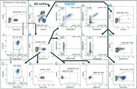 Gating Strategy For The Identification Of Three Nk Cell Subsets Ac