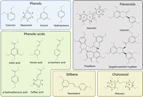 Chemical Structures Of Different Classes Of Phenolic Compounds