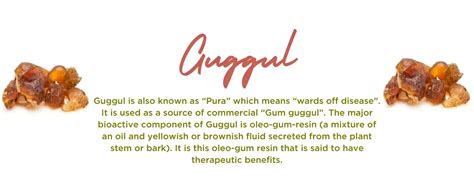 guggul health benefits   important facts potsandpans india