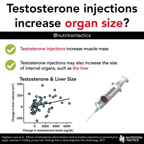 Testosterone injections increase organ size?