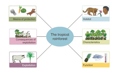 Simple Ecosystem Diagram