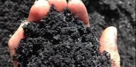 Biochar Basics An Introduction To Making Organic Slow Release Fertilisers