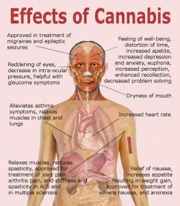 One page: Effects of Cannabis ‹ SeragPsych