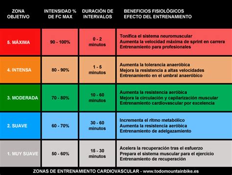 Gu A Pr Ctica Para Realizar Entrenamientos Basados En La Frecuencia