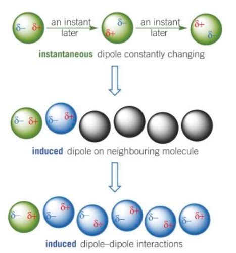 Chap 6 Shapes Of Molecules And Intermolecular Forces Flashcards Quizlet