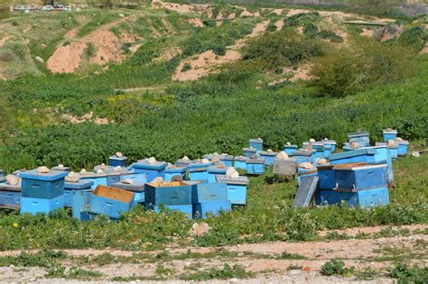 Jordans Eco Park Helps The Country Go Green Green Prophet