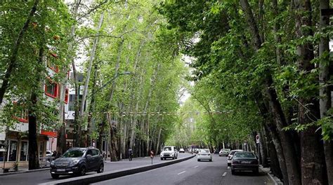 Valiasr Street In Tehran Incredible Iran