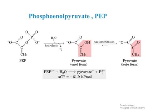 Ppt Chapter Glycolysis Powerpoint Presentation Id