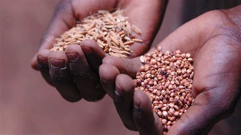 Global Food Security Crisis Un Holds Special Meet Warns That Food