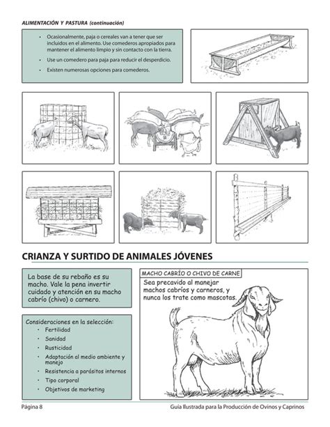 Gu A Ilustrada Para La Producci N De Ovinos Y Caprinos Pdf