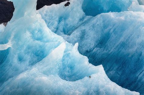 Superficie Del Iceberg Que Se Derrite En El Glaciar Y El P Jaro Que Se