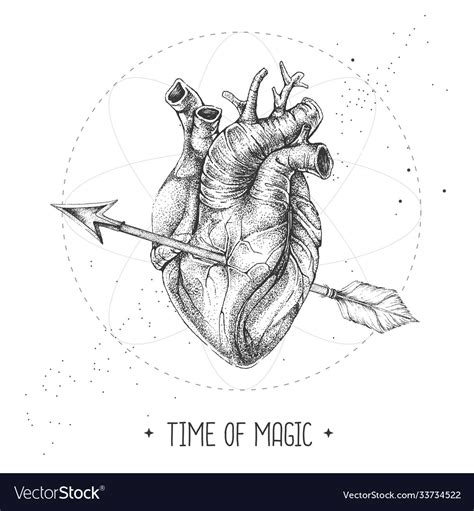 Realistic Human Heart Pierced Arrow Royalty Free Vector