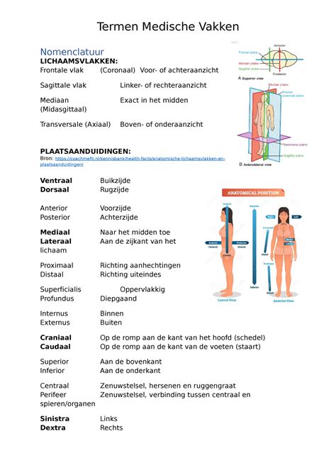 Termen Medische Vakken Periode Jaar Termen Medische Vakken