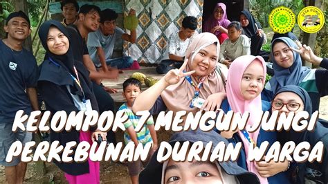 Goes To Kebun Durian Milik Salah Satu Warga Desa Domo YouTube