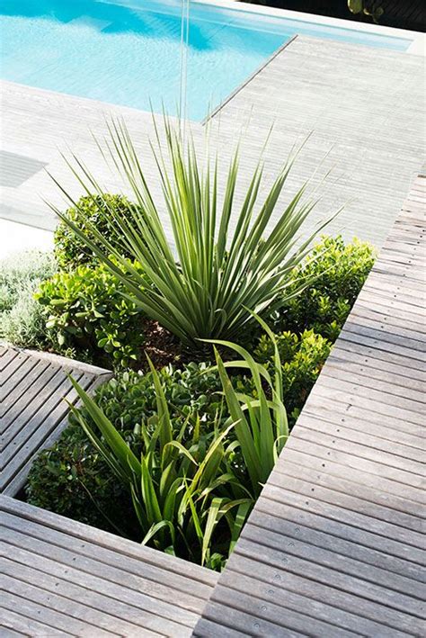 Low Maintenance Pool Landscaping Plants - recreatingkim