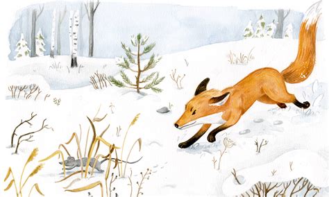 The Fox | children's book illustrations on Behance