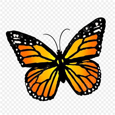 Blue Monarch Butterfly Clipart Transparent PNG Hd, Cartoon Butterfly ...