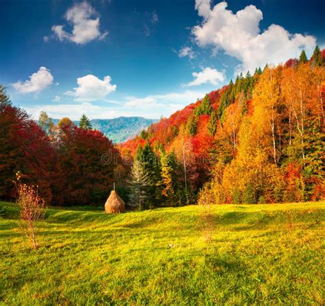 Colorful Autumn Landscape In The Carpathian Mountains Stock Image