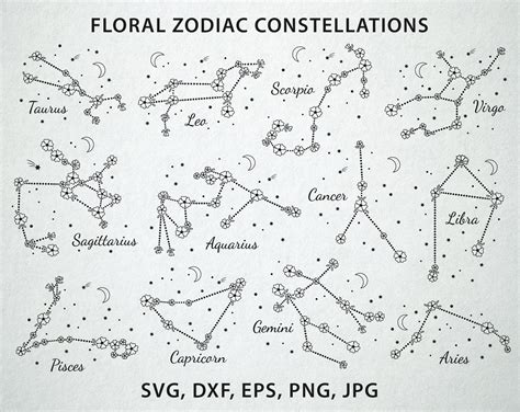 Floral Zodiac Svg Bundle Flower Constellations Horoscope Etsy