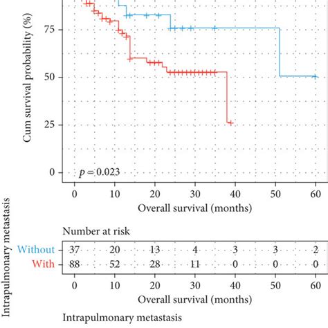 Overall Survival Os Stratified By Prognostic Nomogram In Lc Patients