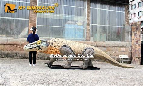 Aa 173 Australia Giant Lizard Animatronic Megalania My Dinosaurs