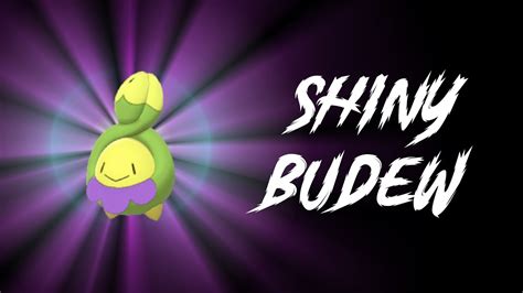 Shiny Budew Again Stream Highlight YouTube